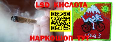 твердый Будённовск