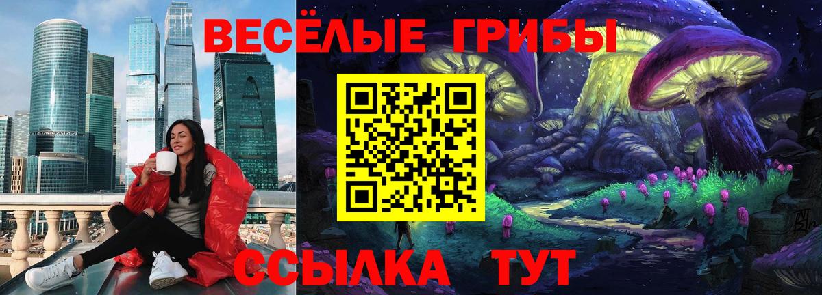 Псилоцибиновые грибы GOLDEN TEACHER Похвистнево